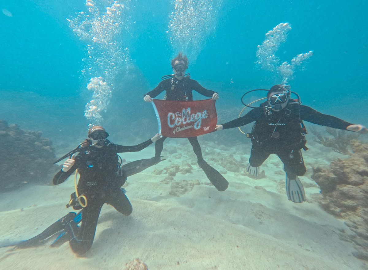 CofC School of Natural and Environmental Sciences tweet media