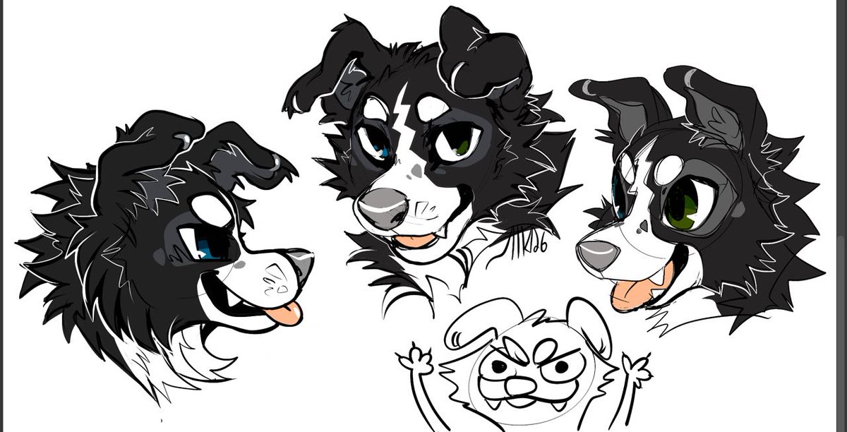 ✧✦ＡＬＬＯ✦✧ tweet media