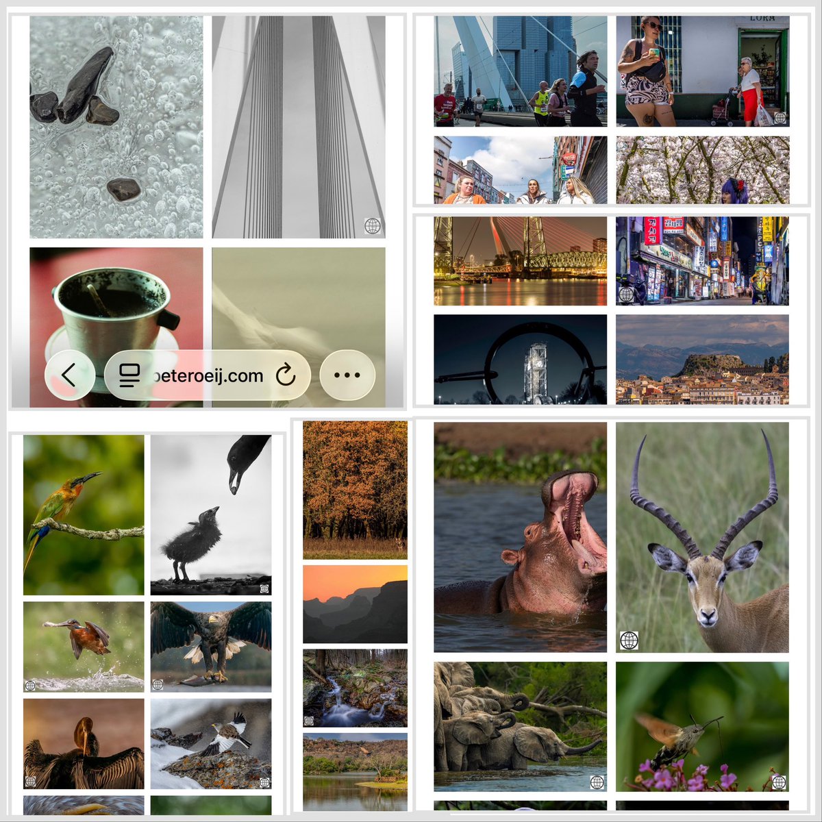 Peter Oeij tweet media