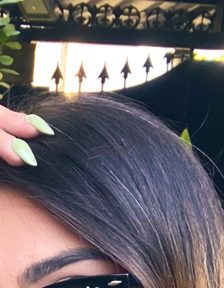 زَنبورِعَسَل🐝🍯 tweet media