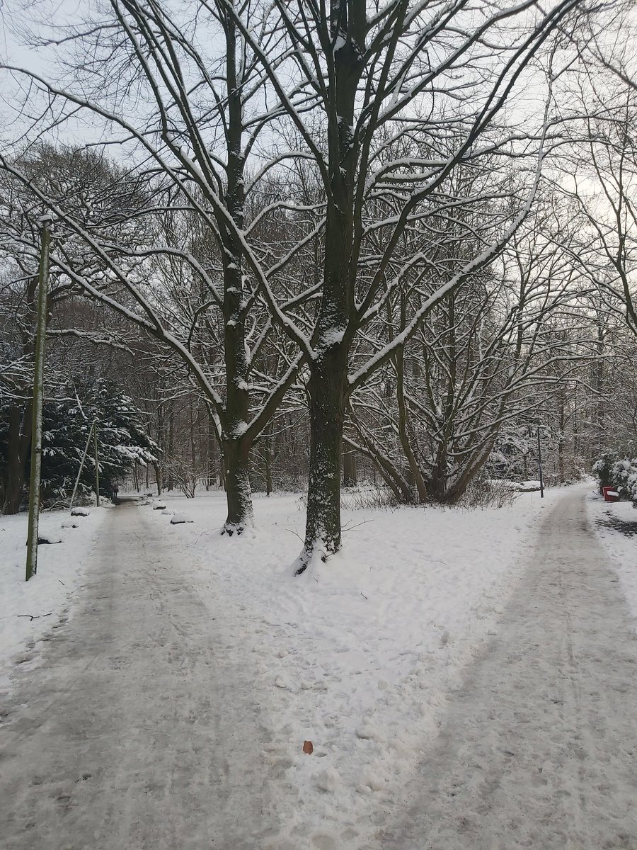 "I took the one less traveled by ..."

(bei und an Frost gedacht) 

!B