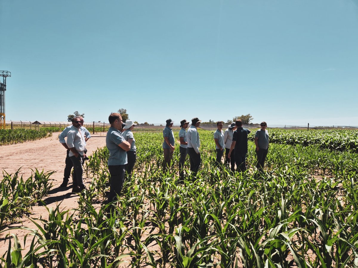 Visita de AFA al Campo Experimental de Argenetics

Recibimos a AFA en nuestro campo experimental, donde compartimos recorridas a campo, avances en ensayos y el trabajo que venimos realizando en genética y desarrollo.

 #CampoExperimental #AFA #Ensayos