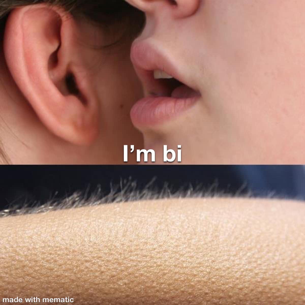 BiDotOrg's tweet image. 