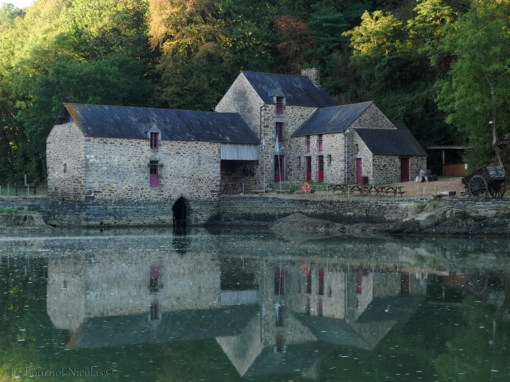 Bonsoir
Quand la Rance devient le miroir parfait du Moulin du Prat .
Ce moulin est unique car il a été entièrement restauré par une association de bénévoles passionnés . 
C'est aujourd'hui l'un des rares moulins à marée  à La Vicomté-sur-Rance.
Bonne soirée