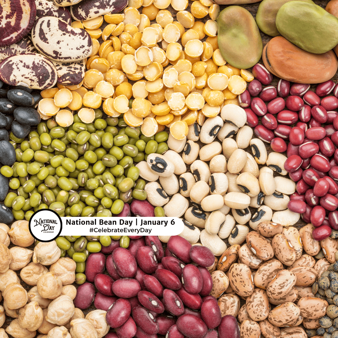 CelebrateNDC's tweet photo. Tag your favorite human bean! 🫘👯‍♀️ 40k varieties to love. What's your #1? 🌮 

https://t.co/rPMVJXZFUM
#NationalBeanDay #NationalDayCalendar #CelebrateEveryDay https://t.co/md9Vn88wA5