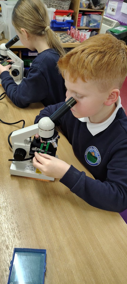 Arrochar Primary School tweet media