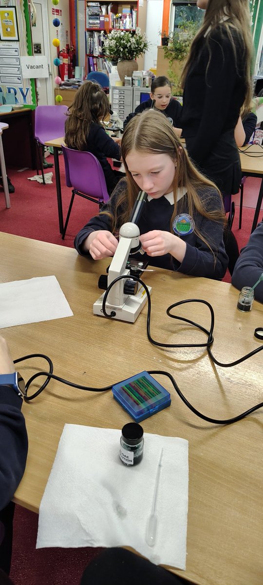 Arrochar Primary School tweet media