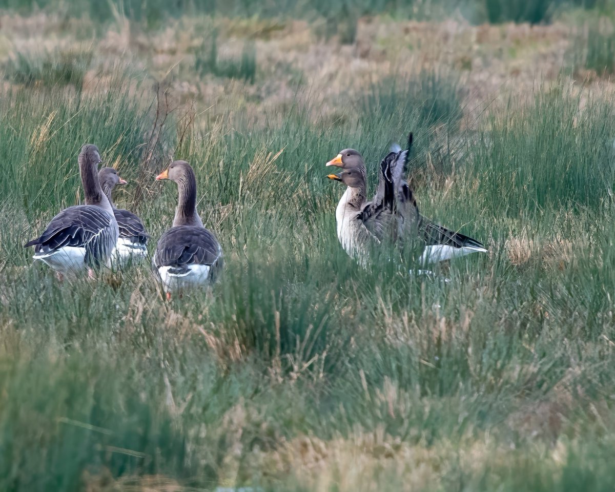 Phill Gwilliam tweet media