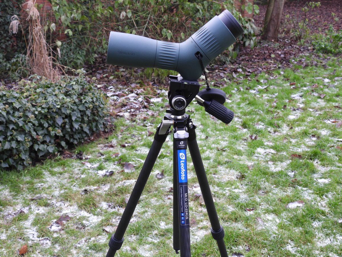 BirdersStore's tweet image. The perfect lightweight travel combination for #birding!

The incredible @SwarovskiOptik ATC Travel Scope and the Leofoto Mr O LO-224CS Carbon Fibre Tripod.

Includes #FREE Scopac Plus Tripod Carrier &amp;amp; Celestron ThermoTorch 10 with each package.

🔽
birders-store.co.uk/swarovski-atc-…