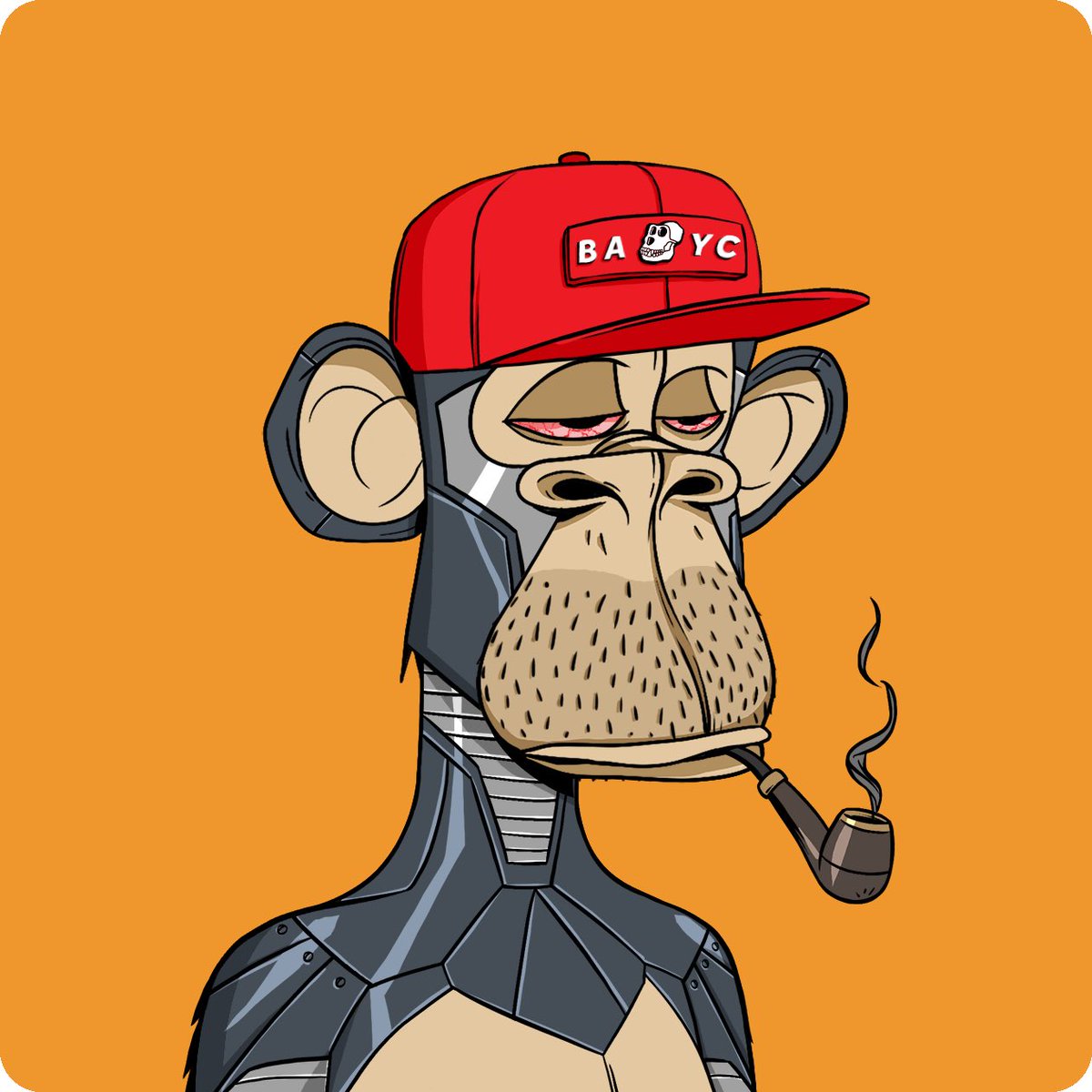 SilverFir🍌 tweet media