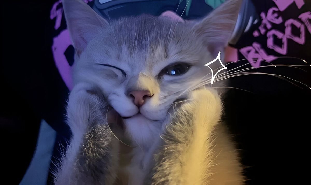 cimahuy's tweet image. PEMBAHASAN TRYOUT MIPY 04
- a thread -

update setiap hari untuk pembahasannya