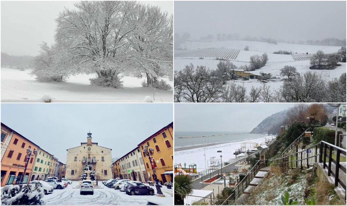 liuing uith un Eurt, image size:1200x713