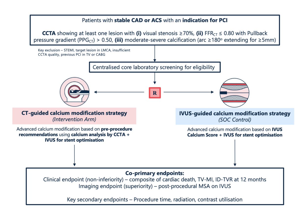 Carlos Collet MD PhD tweet media