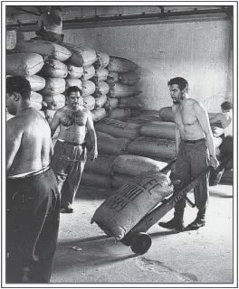 Che Guevara doing voluntary manual labor while serving as Cuba’s Minister of Industries in the early 1960s. 

He regularly took part in voluntary work in factories, construction sites, sugarcane fields, and on the docks, setting an example by volunteering a large portion of his