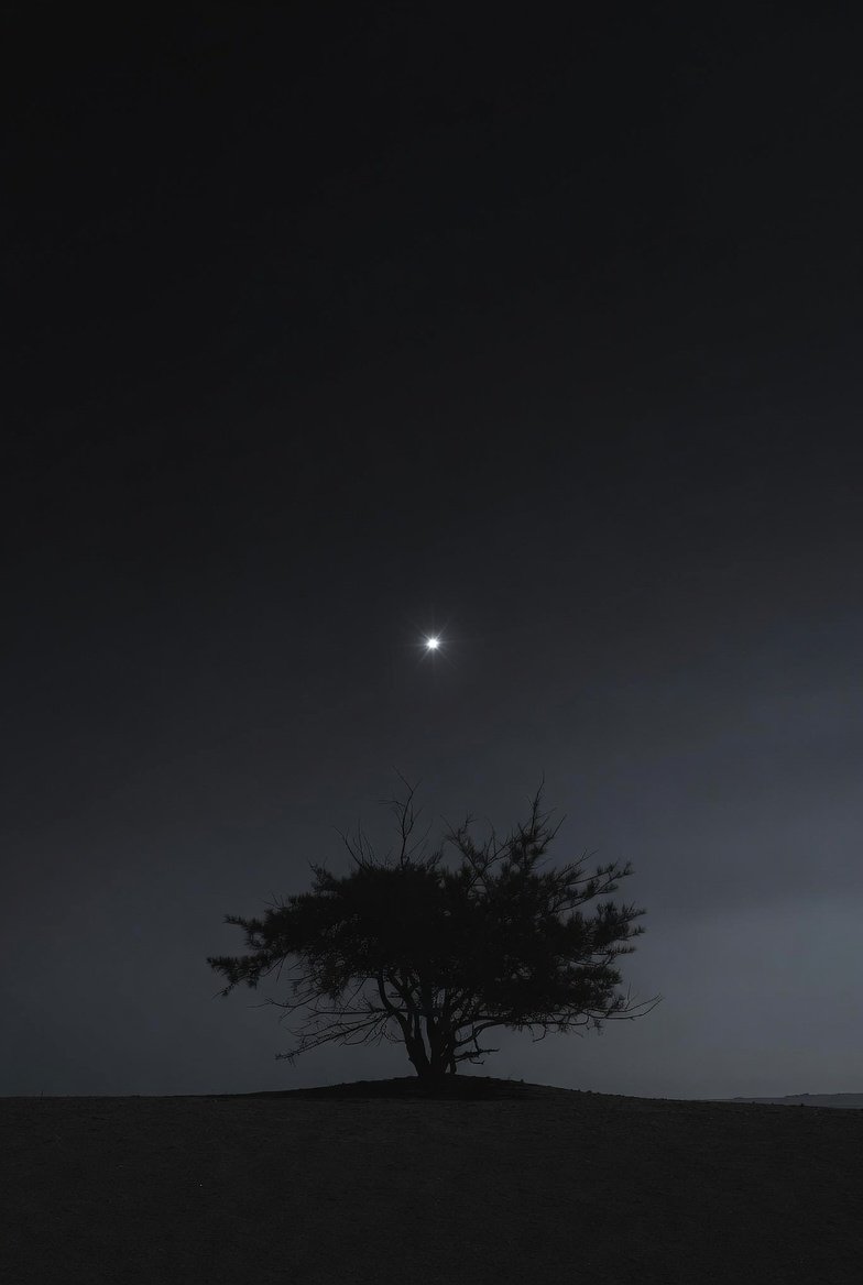 voidserenity's tweet image. 