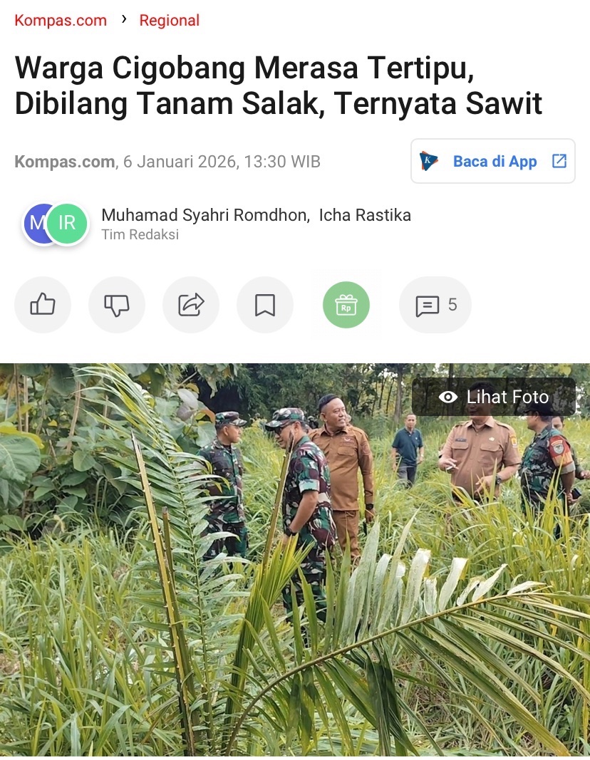 pantesan dinas pertaniannya kaget. yg ditanam salak, yg tumbuh sawit 🤡