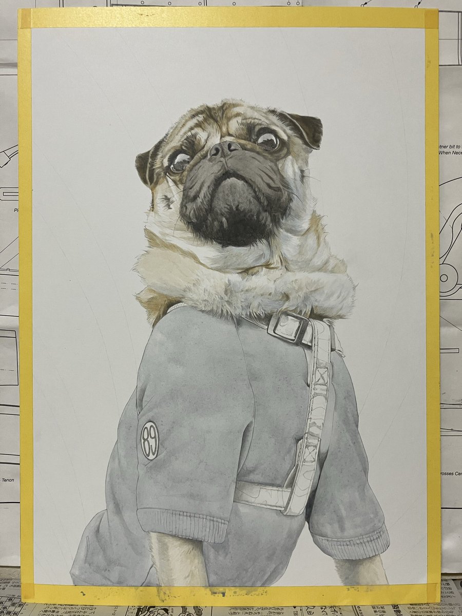 say (@say_yoppa_rider) / Posts / X