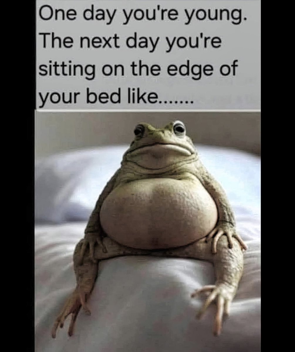 sebiwebi23's tweet image. 