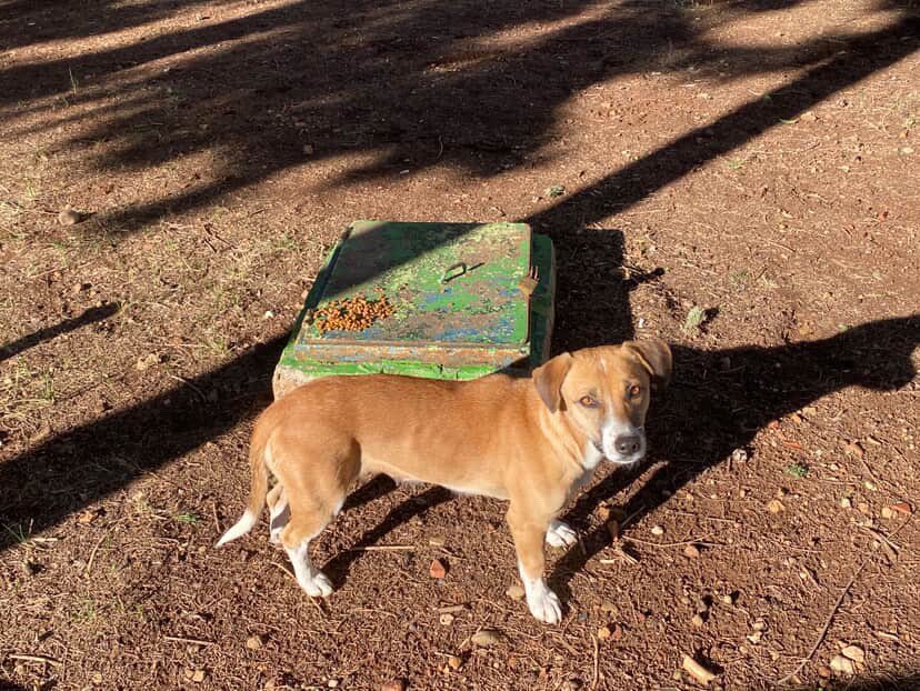 Hiç paylaşılmadı :(