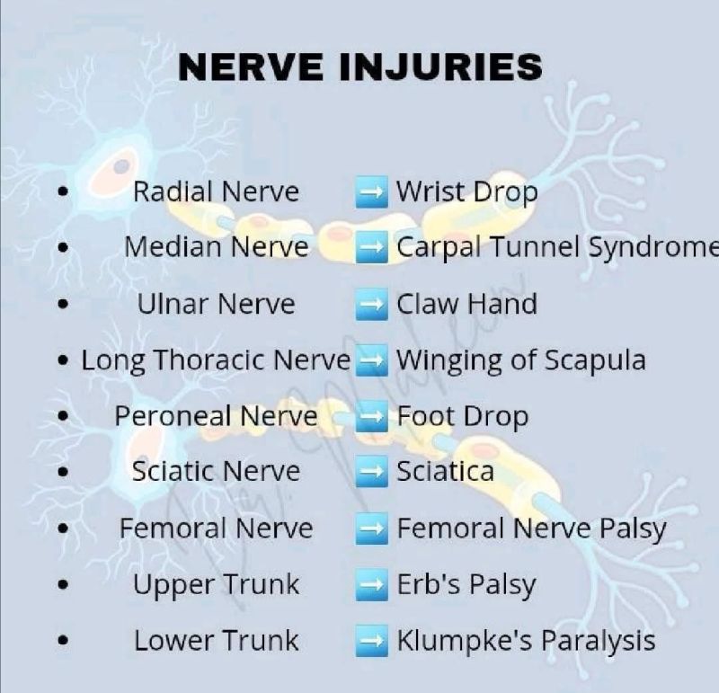 dr_manish_ydv's tweet photo. @Doctors__squad Nerve injuries at a glance 🔥✅ https://t.co/ccS8GP1rFU