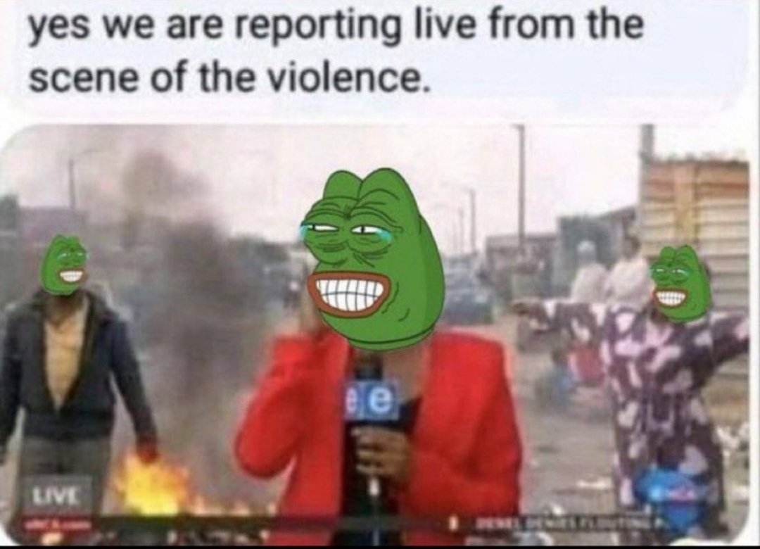 Wendell🐻 tweet media