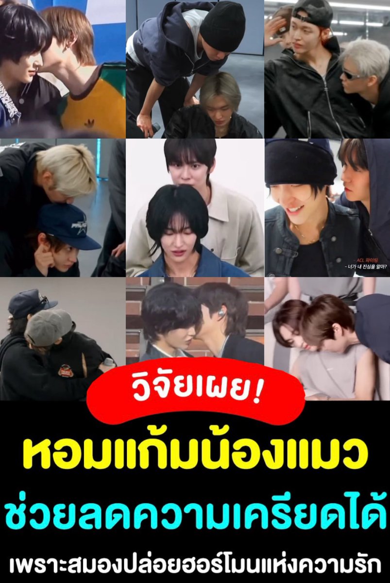 ไม่แปลกใจที่พี่หินหอมแมวบ่อย