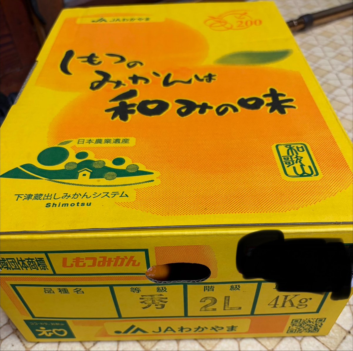 みかんのおつとめ値引き品拾ってきたのが大当たりだった。2L玉でこの