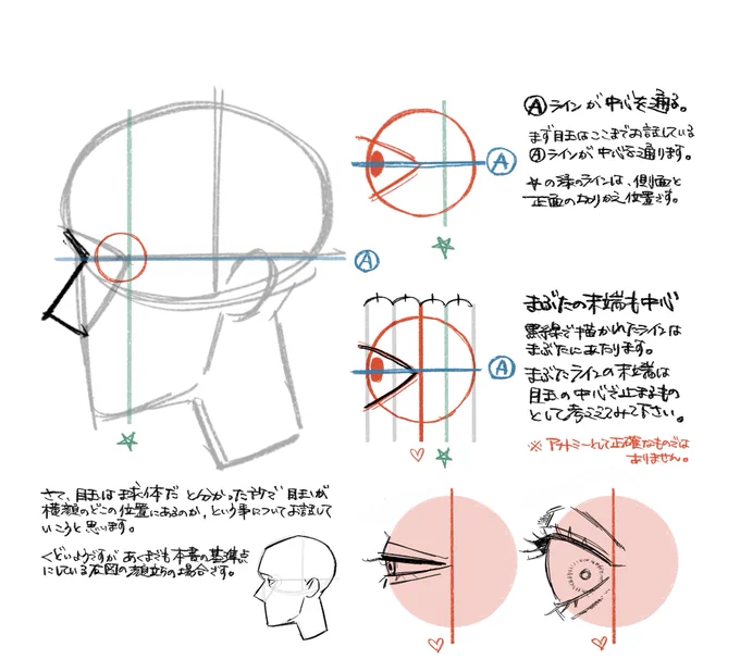 「一番最初に読む自由自在に顔が描けるようになる本」

横から見た場合の目玉(球体)の位置についてです。
星印の場所も、ハートマーク部分の場所も
同じにしちゃっても構わないんですけど
(特に小さく描く場合はぶっちゃけ誤差範囲内)

大きく顔を描いたとき
少し大きめに目を描きたい時 
