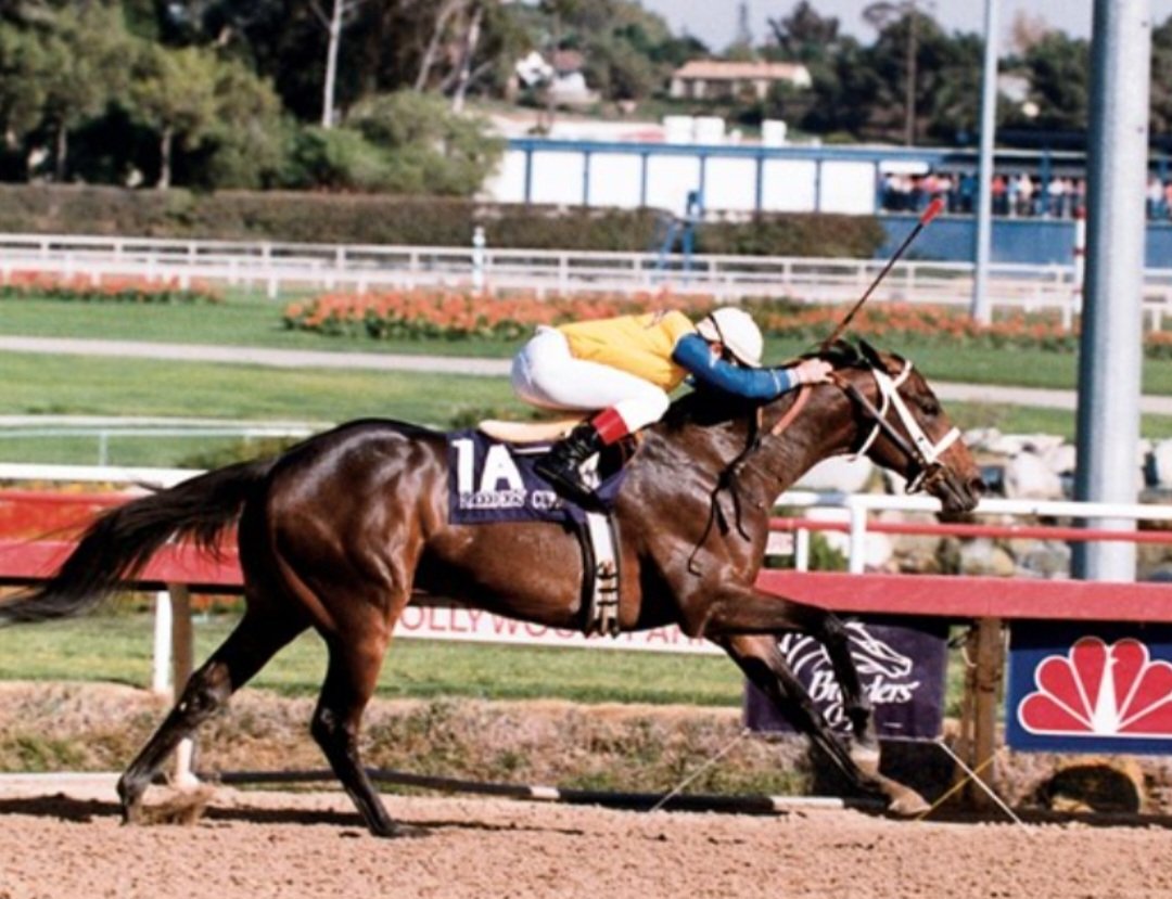 HORSERACING1002's tweet photo. SUCCESS EXPRESS🇺🇸1985
(HOLD YOUR PEACE ▪︎ AU PRINTEMPS BY DANCING CHAMP)
#SuccessExpress
B/ Tri Star Stable (Ky) February 25, 1985
O/ E. V. Klein
T/ D. Wayne Lukas 
FTKJUL $150,000
17-4-2-4---$835,359
Breeder's Cup Juvenile G1,  Sports Of Kings Futurity,  Canterbury Juvenile S,
2nd Bay Shore S G2, 
3rd Hopeful S G1, San Rafael S G2, San Vicente S G3, 
Stood Heytesbury Stud, Widden Stud, Noble Park Stud, Chartwood Stud, Vinery Stud in Australia 🇦🇺,  Trelawney Stud in New Zealand  🇳🇿,  Sired Al Akbar, Amex, Beach Express, Bumper Bumper, Cyber Crime, Danyon, Electrifying,  Express Ball, Express Lot, Ferragamo, Flash Trick, Flying Flying,  Native Kid, Polar Success, Promise Keeper, Quick Star, Rare, Savannah Success,  So Great, Staging, Why Be, 
Died April 24, 2015