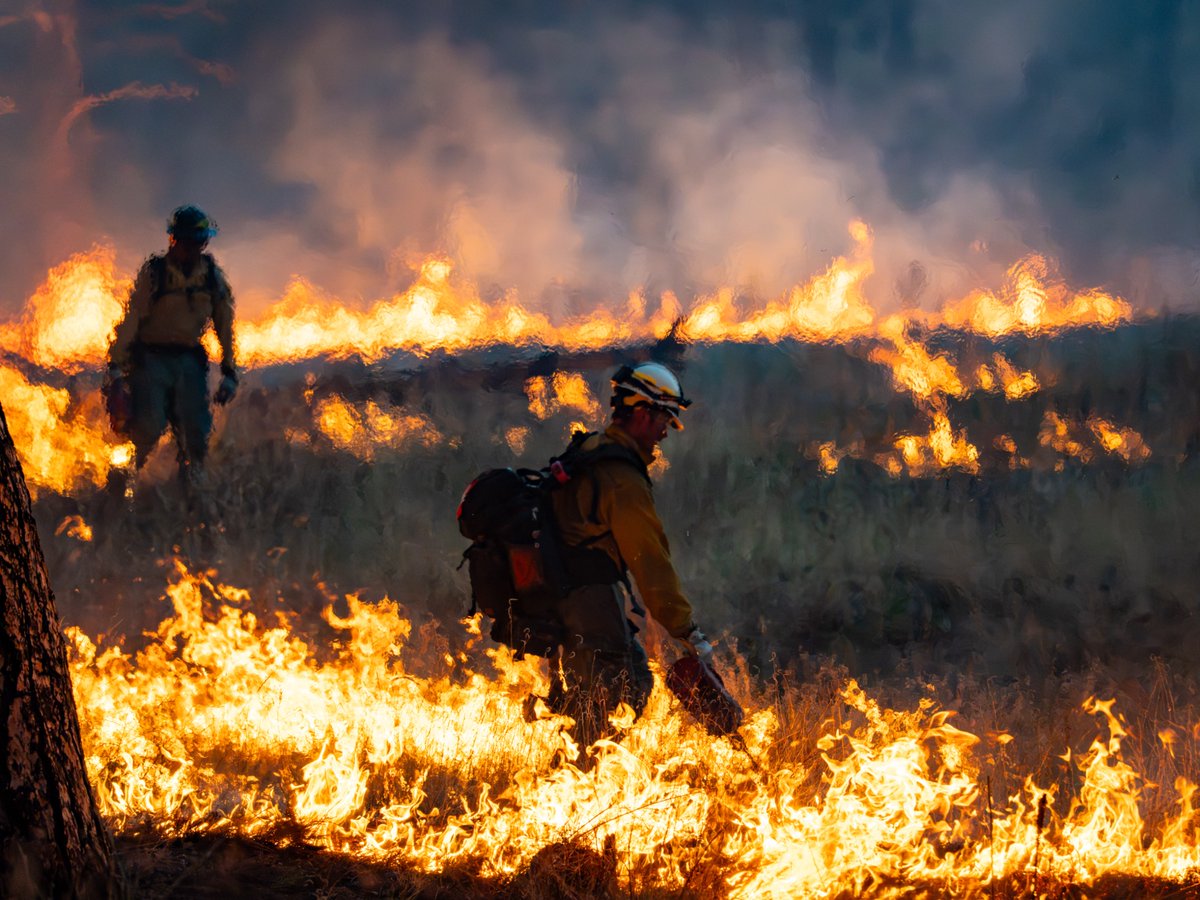 USFWSFire's tweet photo. Our next batch of winners in our 2025 Employee Photo & Video Contest:
๐Paul Hensel - Personnel & Wildfire Categories - #TurkeyFeatherFire
๐Runnel Wiggins - Selfie Cat. - #SandpiperFire
๐ Casey Meadows - Wildcard Cat. - Medicine Lake NWR
#Congratulations! https://t.co/tFqxurswNC