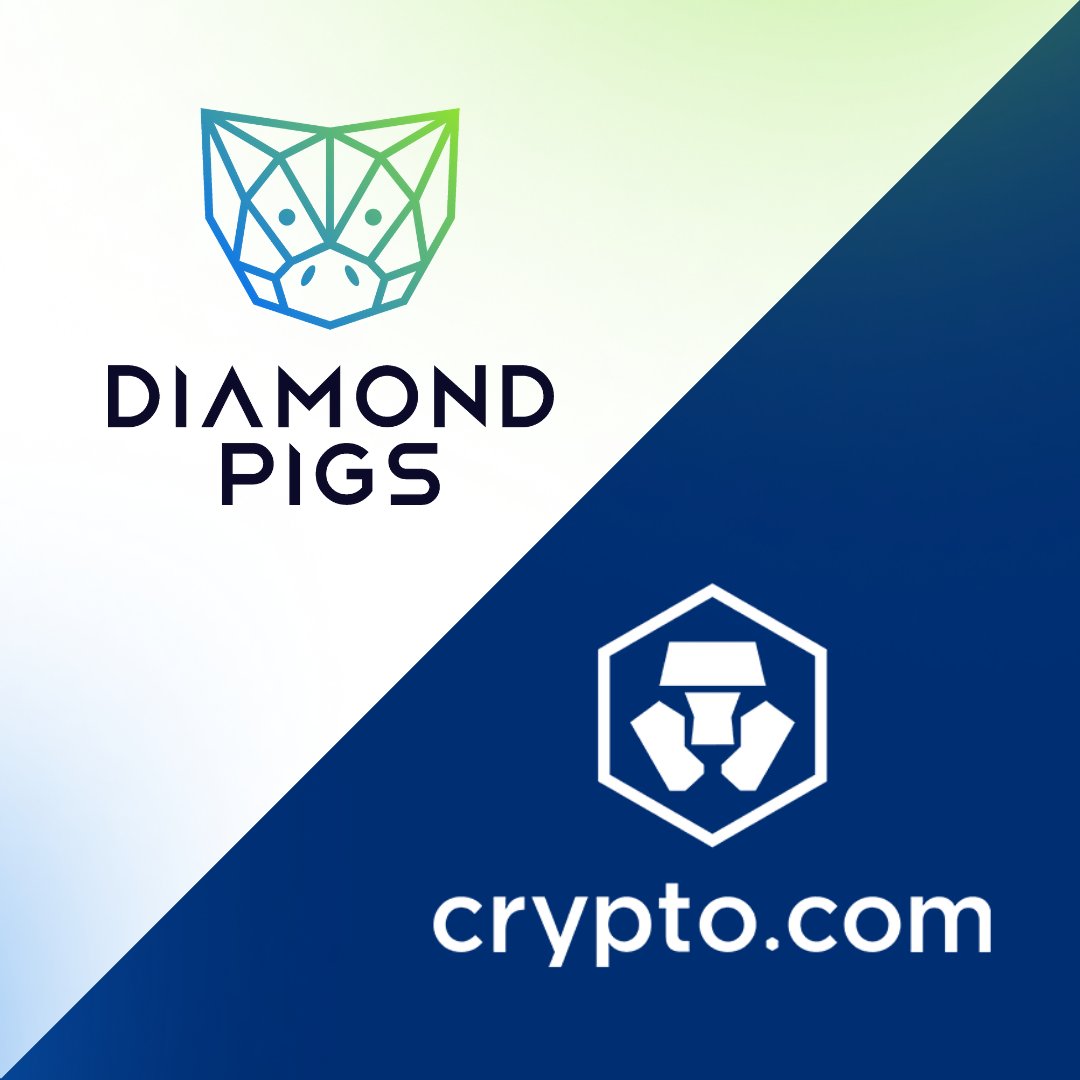 Diamond Pigs tweet media