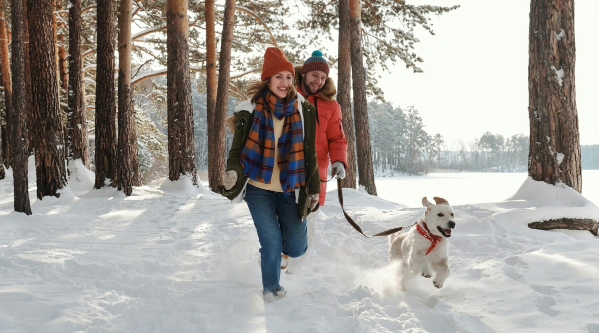 Family Law Trends in Canada: What the Latest Data Reveals dlvr.it/TQBFbb via @familyllb