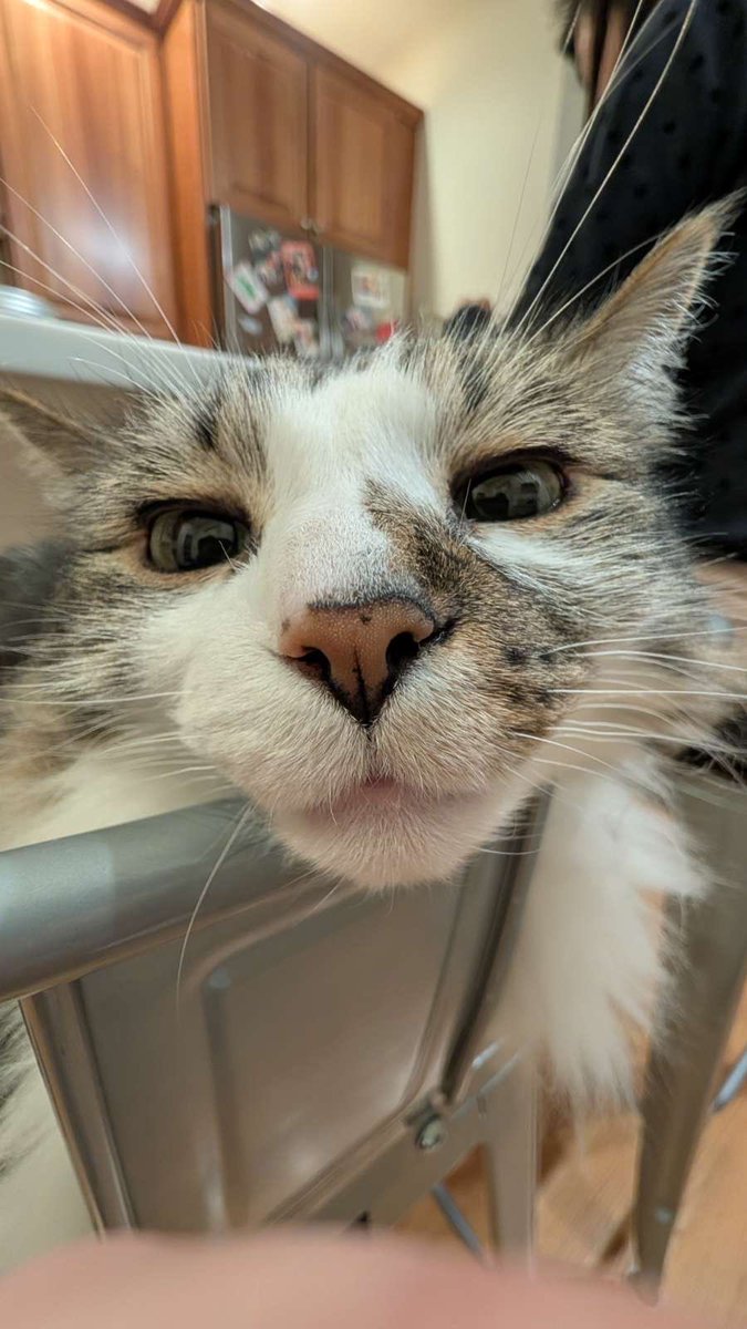 Alivege check on my Twitter friends ☺️ happy new yr~