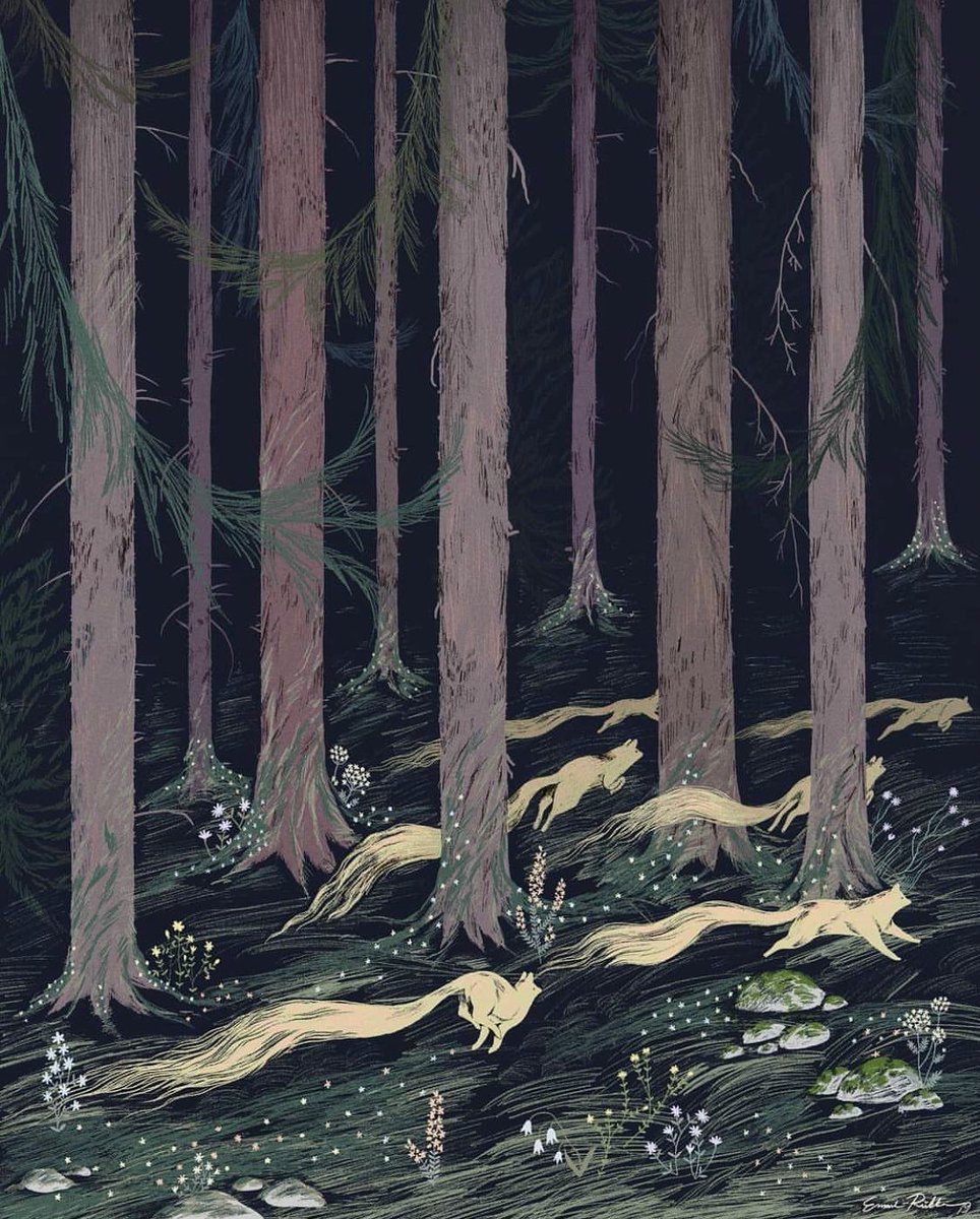 ‘Fairy Foxes’ by Emmi - Riikka