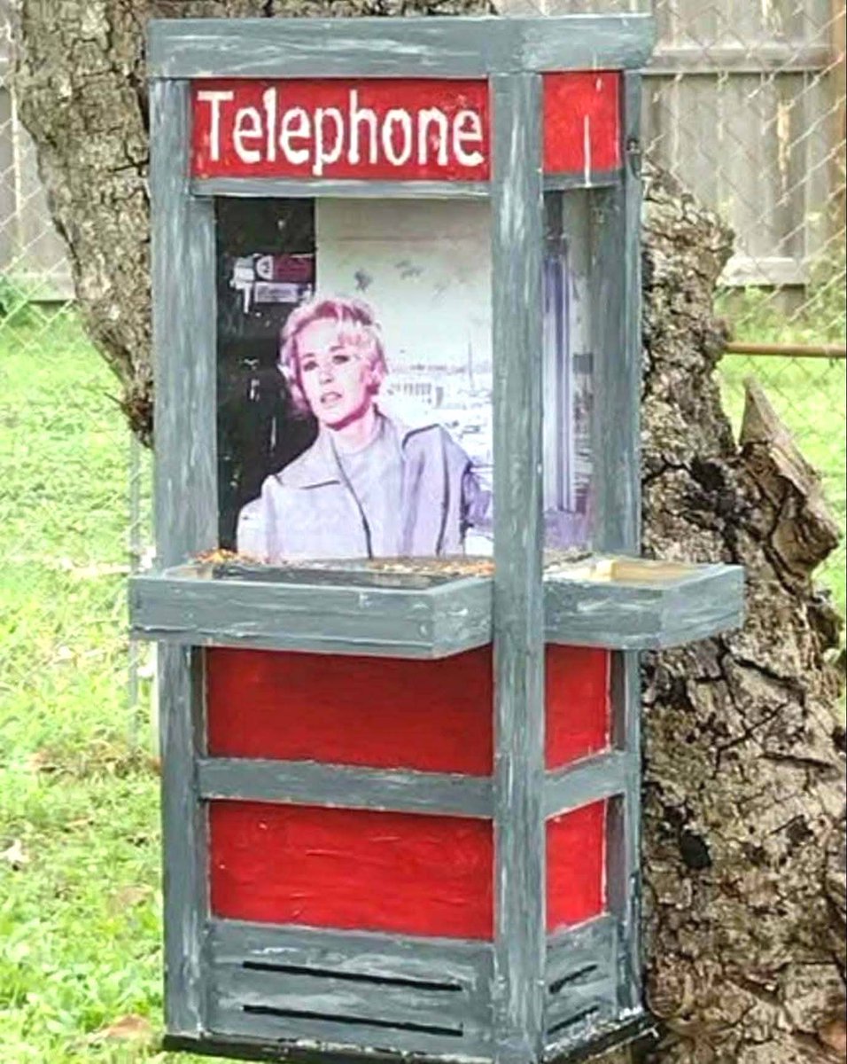 Dave Buzan tweet media