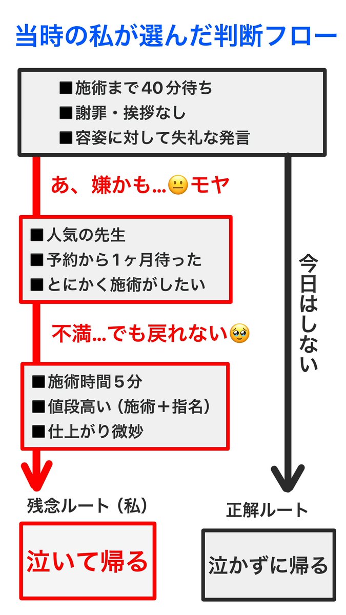 鼻整形してから、鼻横の基部の凹みが前より気になるようになった。
→私の老け見えポイント

「ここが埋まれば印象変わるかも」と思って
最初に選んだのが貴族ヒアル

当時はプロテに抵抗があって、
ヒアルで改善できたらいいなと思ってたけど、先生との相性も微妙で、値段も高くて、帰り道で泣いた😂 https://t.co/iC0DMmKHi0