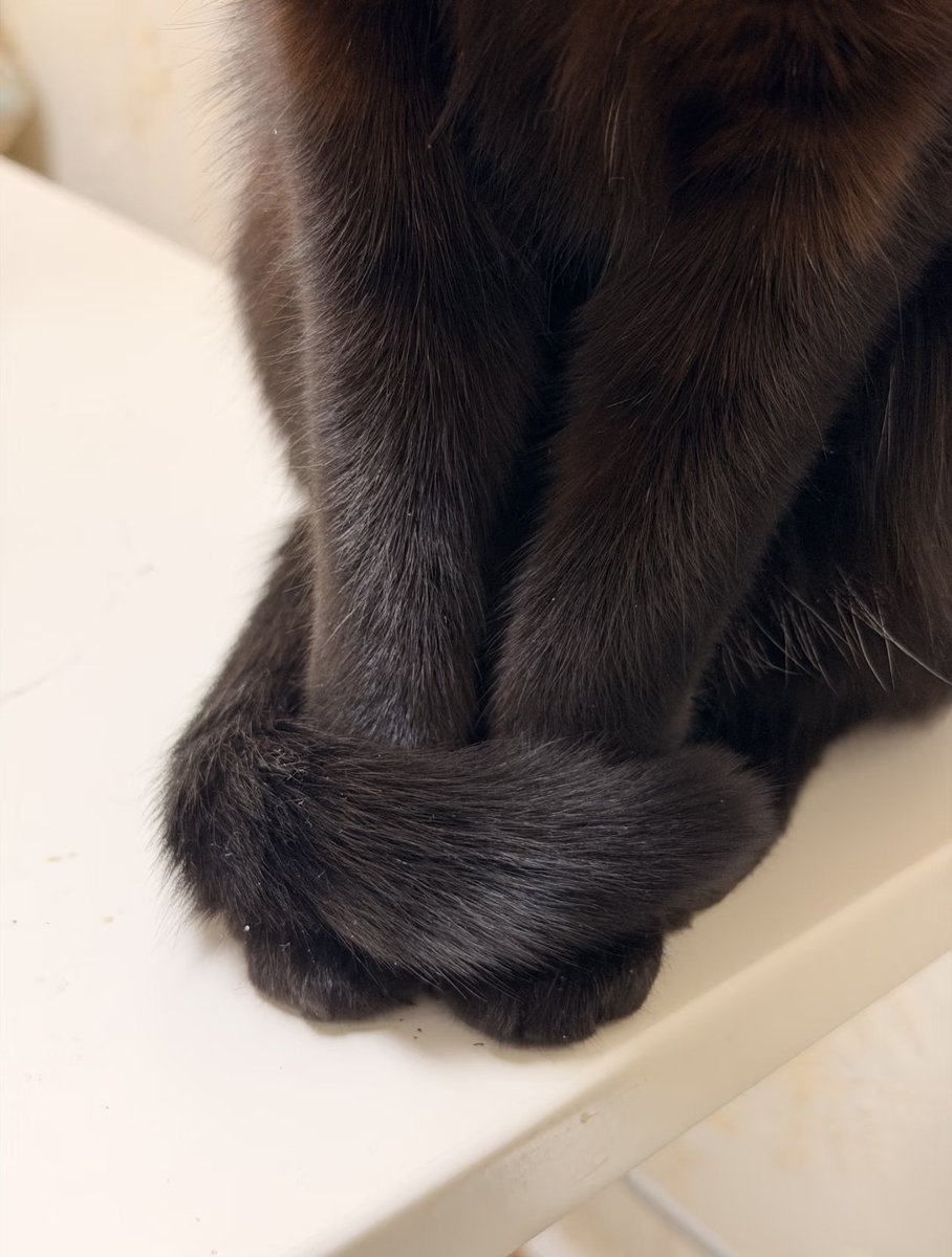 tmszhjh88's tweet image. What does this action imply