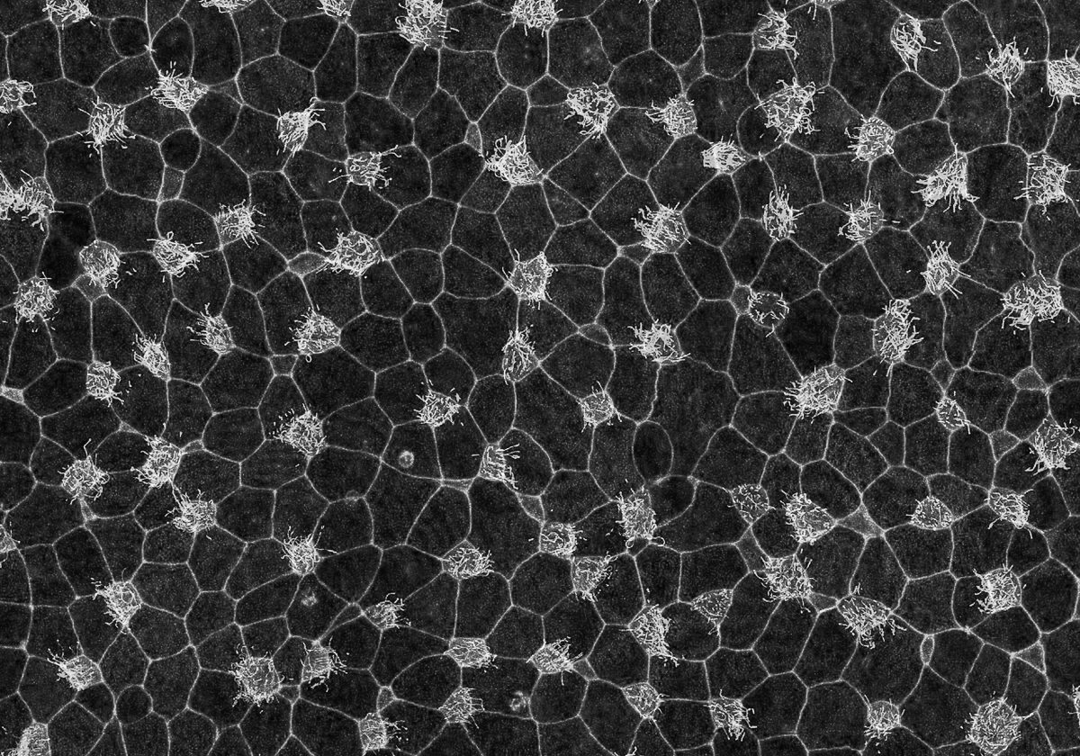 ‎Gabe Follower tweet media