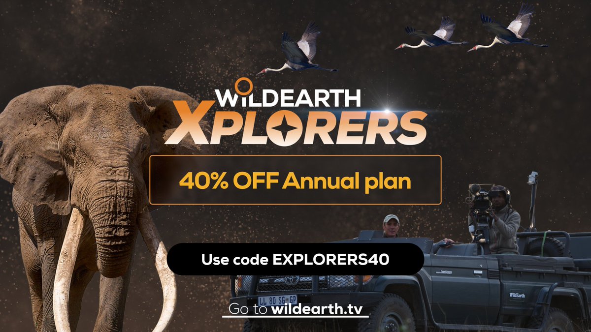 WildEarth tweet media