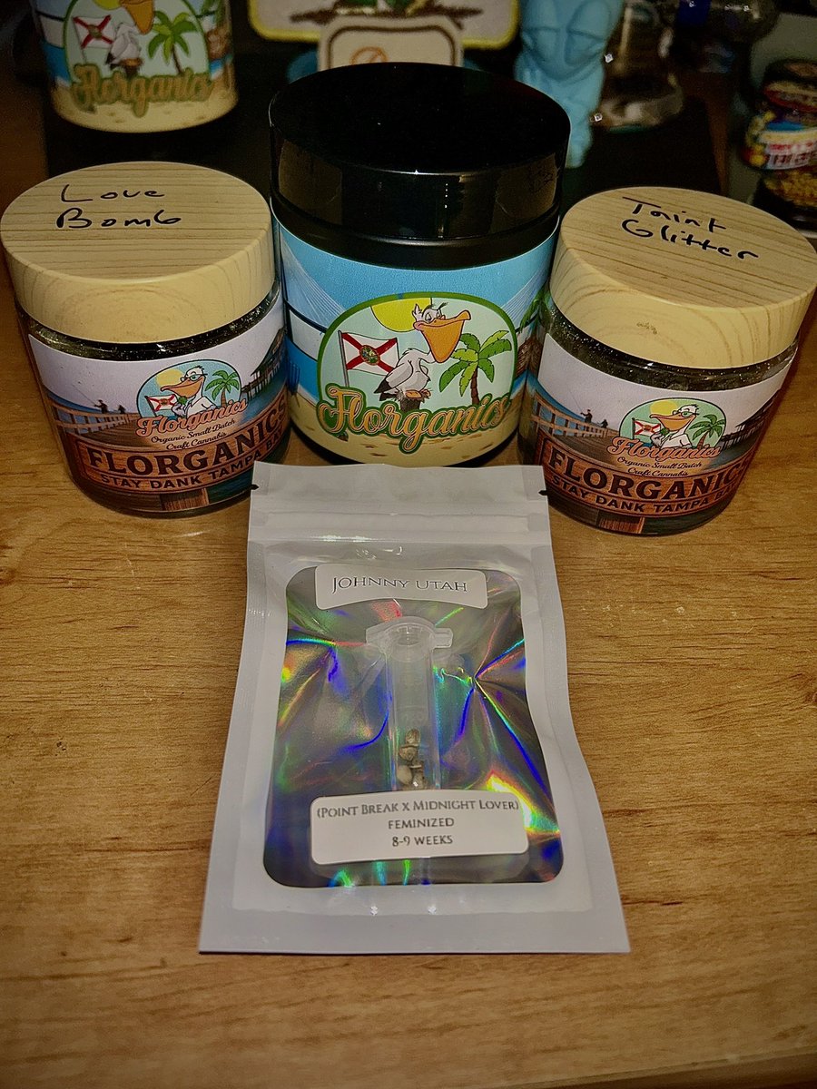 TheToker22's tweet photo. Florganics New Years Drop🏝️🦩
By:@Florganics_ 

-Stoner Bait
(Blueberry Sugar x Midnight Lover)

-Taint Glitter
(Rainbow Rush x Midnight Lover)

Love Bomb
(Glitter Bomb x Midnight Lover)
———————————————————

Reviews coming soon….⏳ https://t.co/qr8EpOrCn9