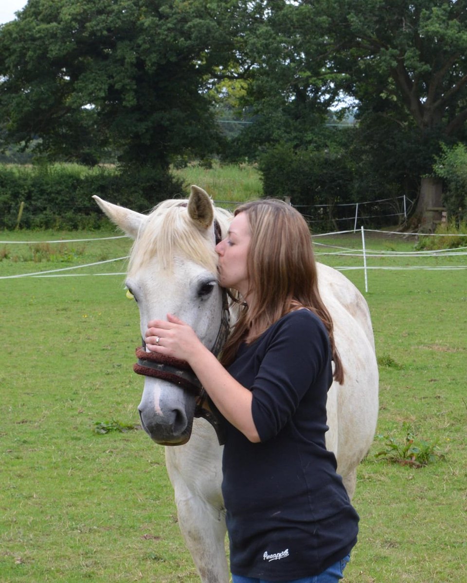 Redwings tweet media