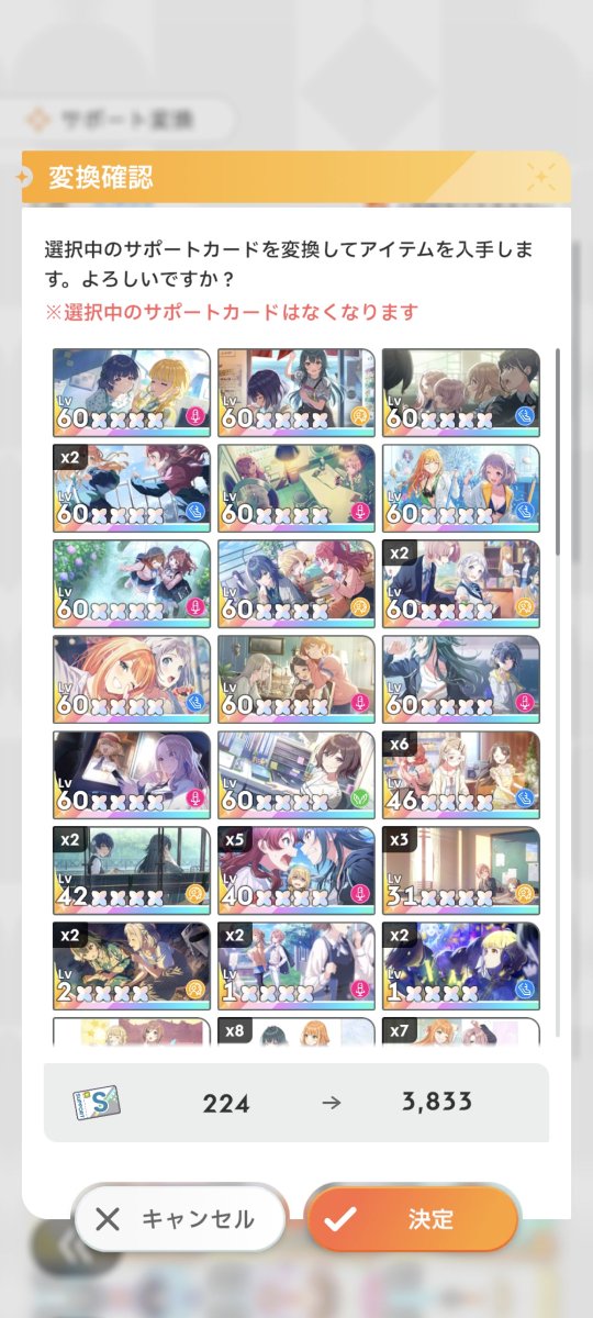 年に一度位のSSRサポカお掃除