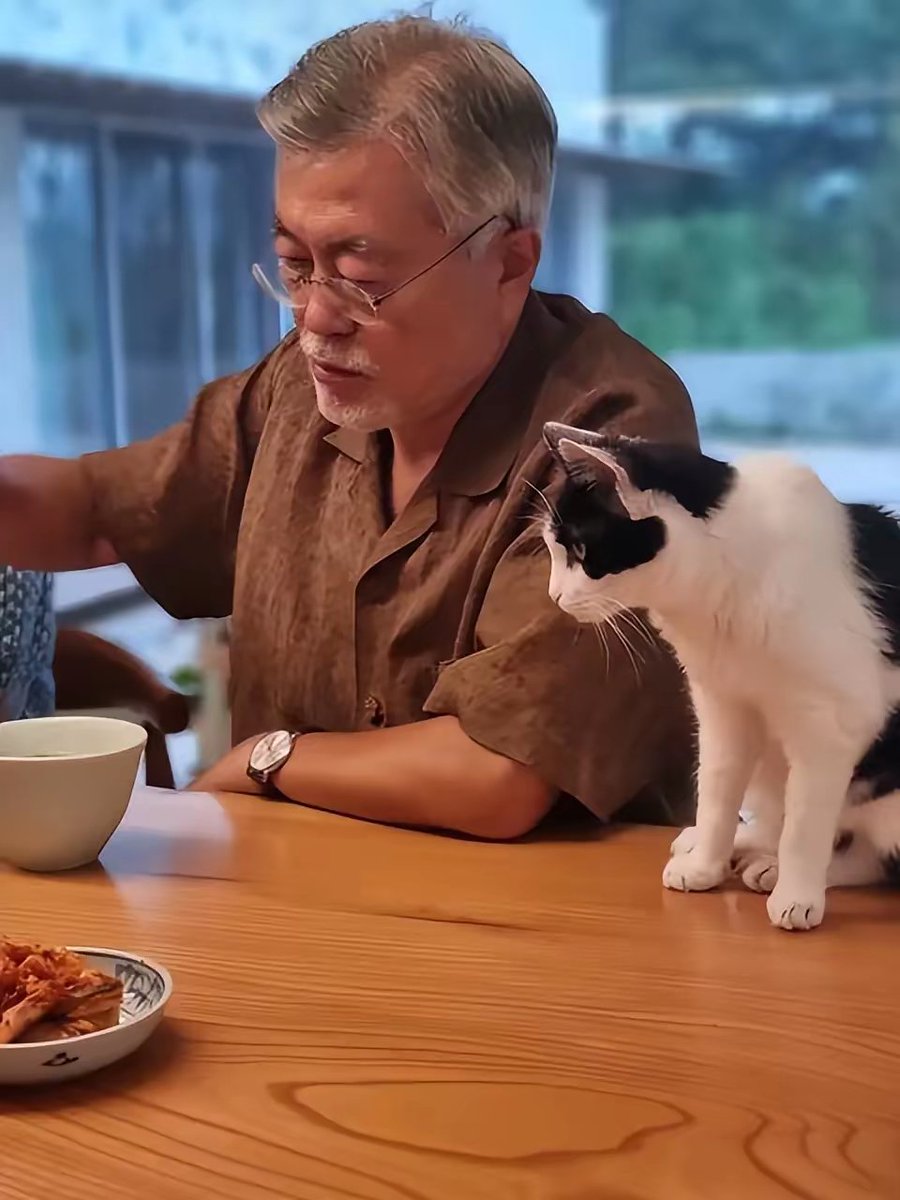 문재인 전 대통령은 정년퇴직 이후 평산촌에 서점을 열었다. 매일 책을 보고, 음식을 심고, 차를 마시고, 고양이 한 마리를 키우고, 팬들이 찾아와 사진을 찍고, 더 이상 이미지, 머리카락, 수염, 하얀색을 꺼리지 않고, 매일 수백 명이 서점에 가서 문재인 대통령을 방문했다.<a href="/moonriver365/">문재인</a>