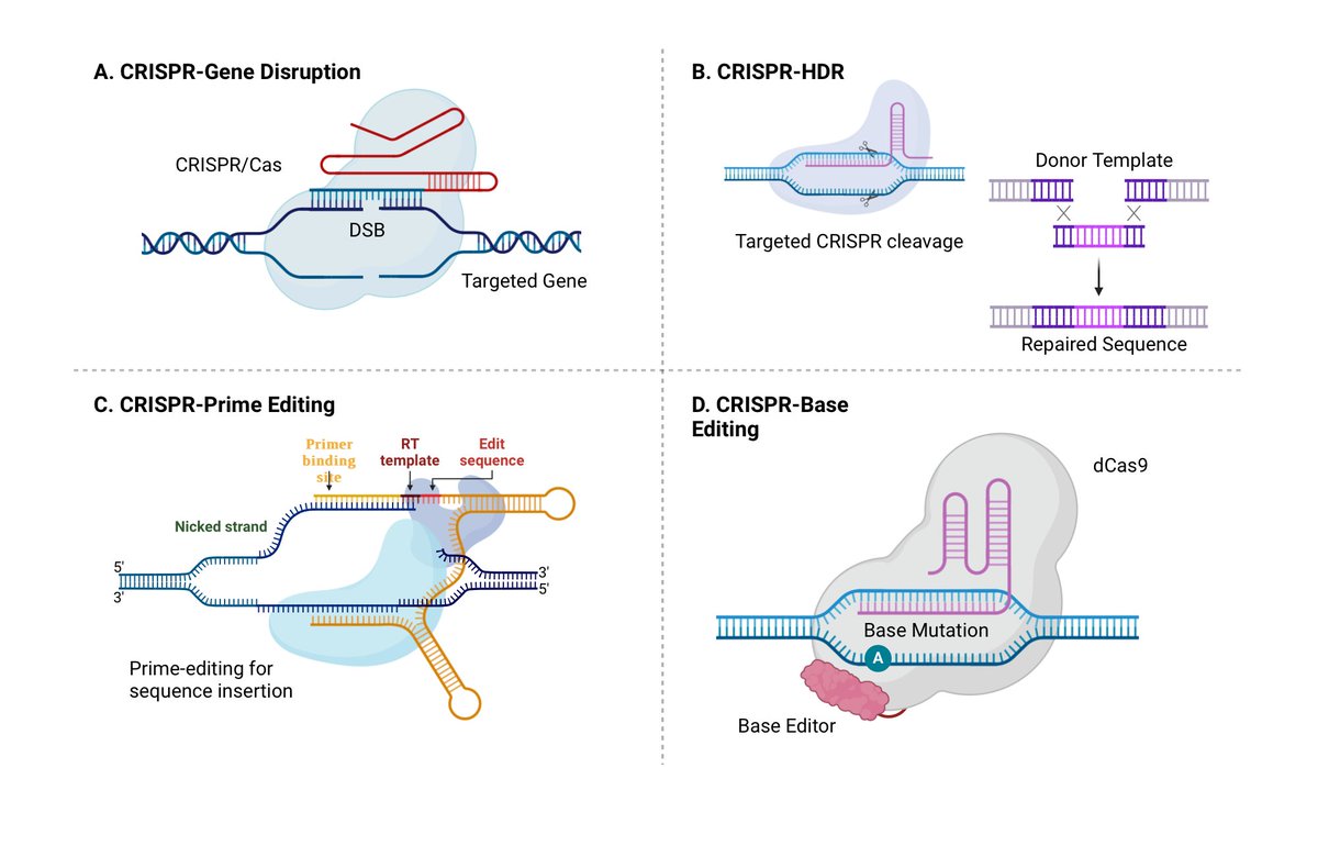 karlmehta's tweet photo. The real shift is at the molecular level.

We're moving from treating symptoms to rewriting biology.

Gene editing like CRISPR is entering real pipelines for inherited diseases.

Medicine will target root causes written into your DNA.

This was science fiction 10 years ago. https://t.co/8BMLXSGMLO
