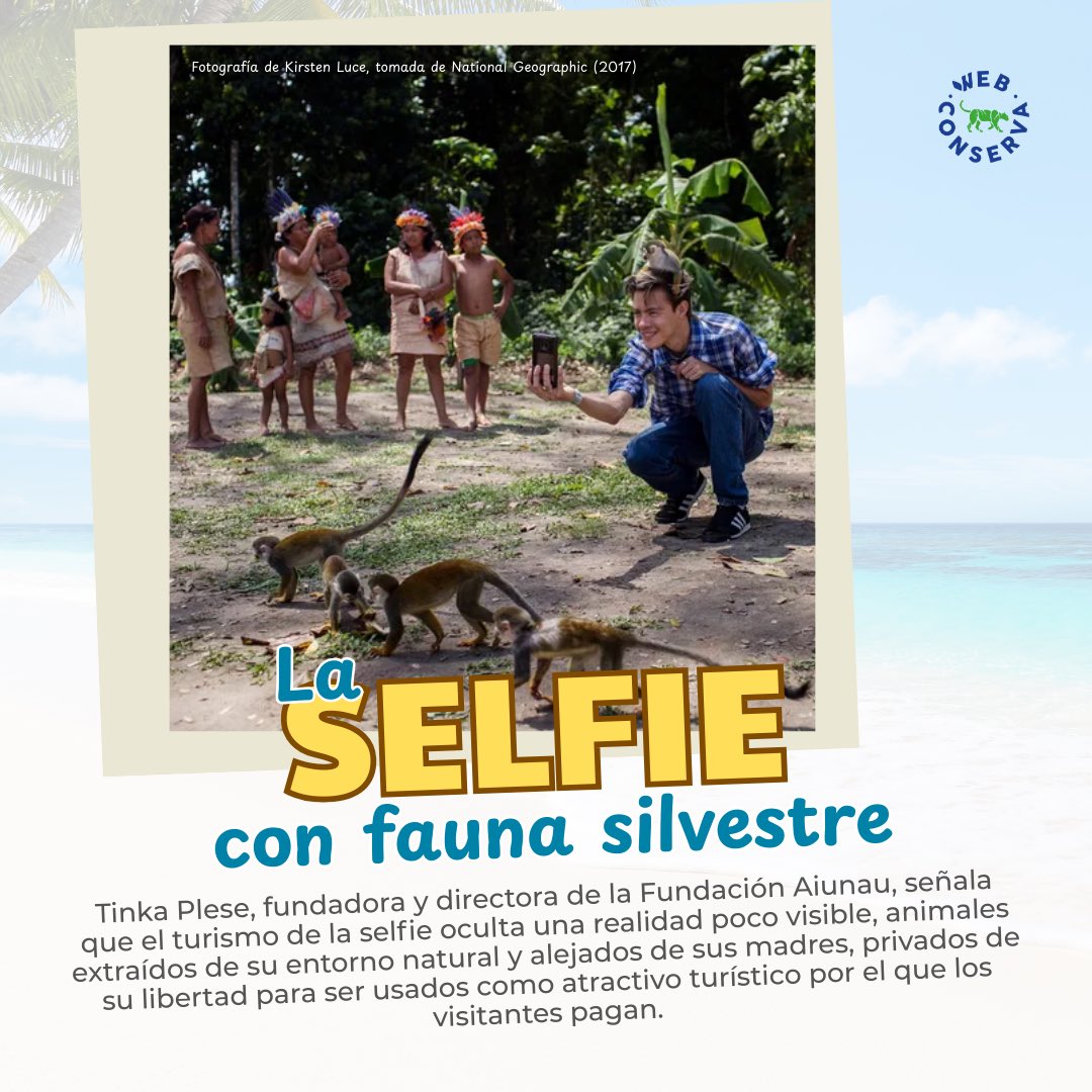 WebConserva tweet media