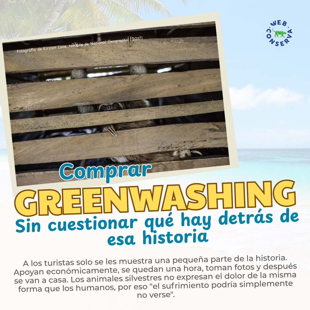 WebConserva tweet media