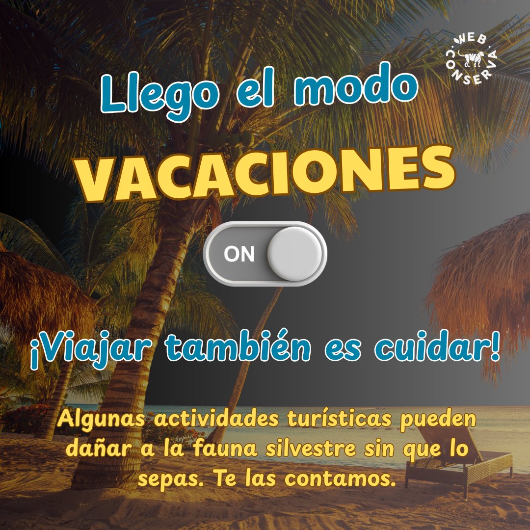 WebConserva tweet media