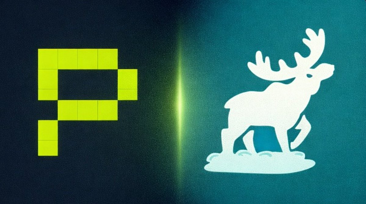 bigguy_zee's tweet photo. 🦊 Ossennas Design Challenge Ossenna Dream Burrow
Ossenna the fox architect would design my burrow with modular chambers sound isolation and private data vaults because his role is to create adaptive secure spaces that respect privacy and personal
@DataHaven_xyz @PhalaNetwork https://t.co/cDJtDtWqwg