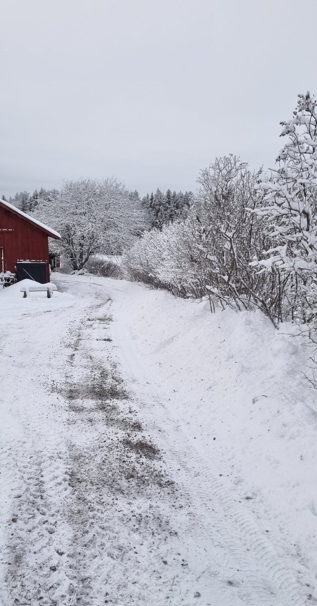 stjartan's tweet image. Någon godhjärtad själ har plogat hela min uppfart när jag var iväg till grannbyn, ingen aning om vem. Underbara människor det finns ändå 😍