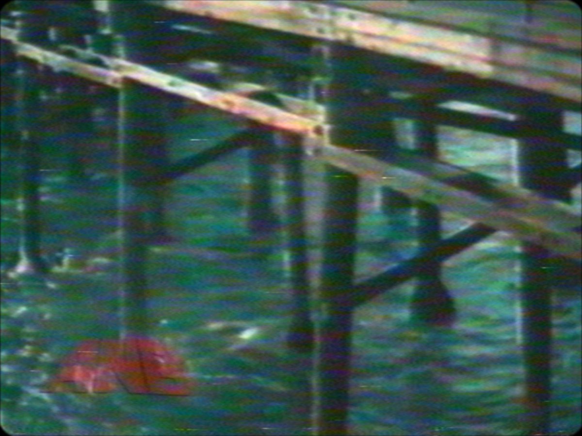 Berg Berg Berg tweet media